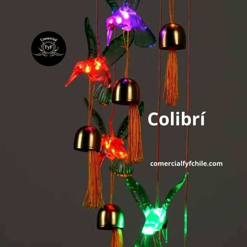 Regalo para mujer adulta mayor: Colgante de colibrí con luces solares