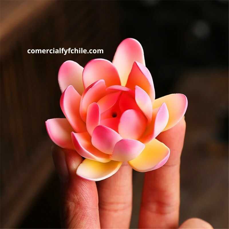 Cascada de humo con diseño de flor de loto y mano en espacio zen